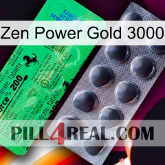 Zen Power Gold 3000 new04